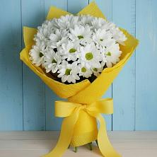 Букет цветов из:  Хризантемы в Слободище