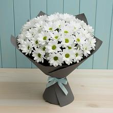 Букет цветов из:  Хризантемы в Слободище