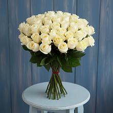 Букет 51 Белая роза Эдлесс Лав #REPLACE_PRED# Слободище