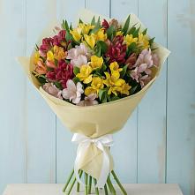 Букет цветов из:  Альстромерии #REPLACE_PRED# Слободище