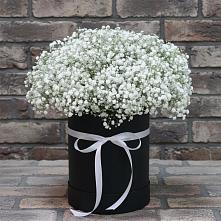 Цветочная композиция из Гипсофила в шляпной коробке #REPLACE_PRED# Слободище