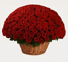 Премиум букет из: Розы в Слободище